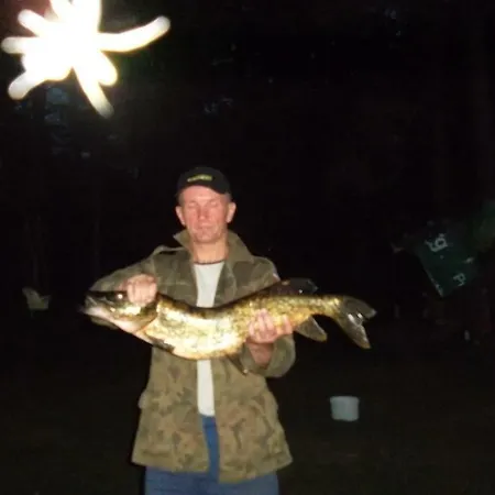 Dom Nad Jeziorem Διαμέρισμα