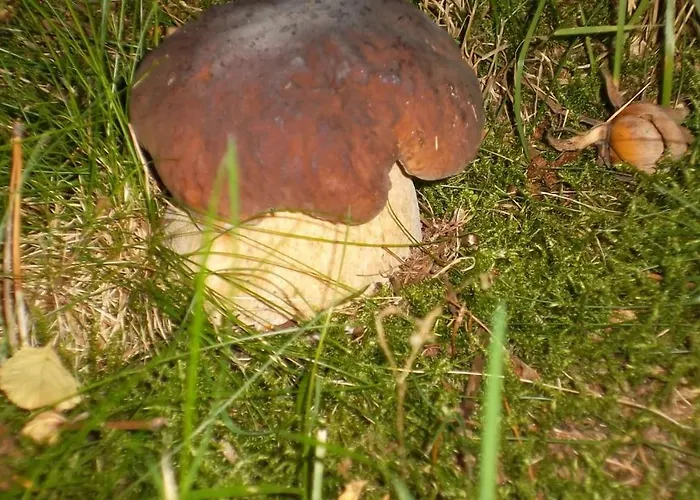 Dom Nad Jeziorem Gleboczek